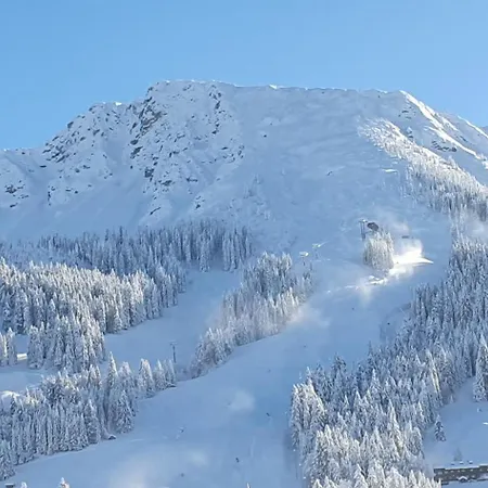 Hotel Alpengasthof Loewen
