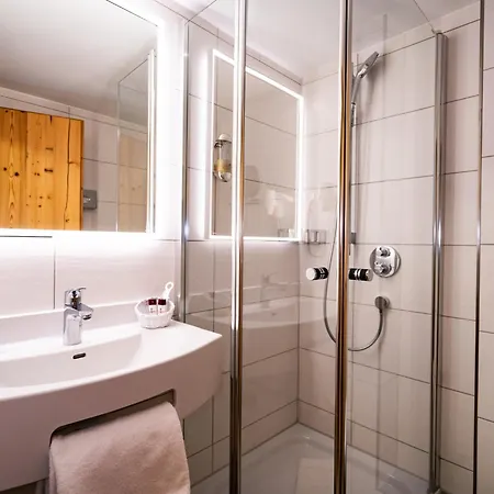 Hotel Alpengasthof Loewen 3*