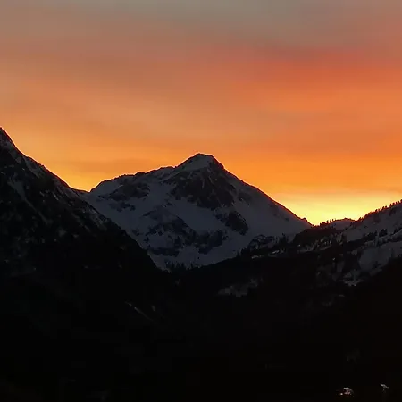 Alpengasthof Loewen Hotel 3*