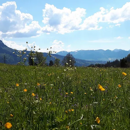 Alpengasthof Löwen 3* Bad Hindelang