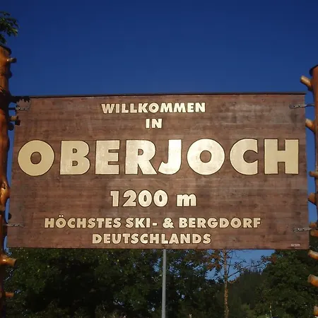 Hotel Alpengasthof Löwen 3*