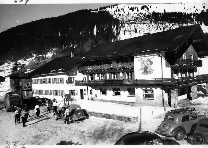 Hotel Alpengasthof Loewen 3*