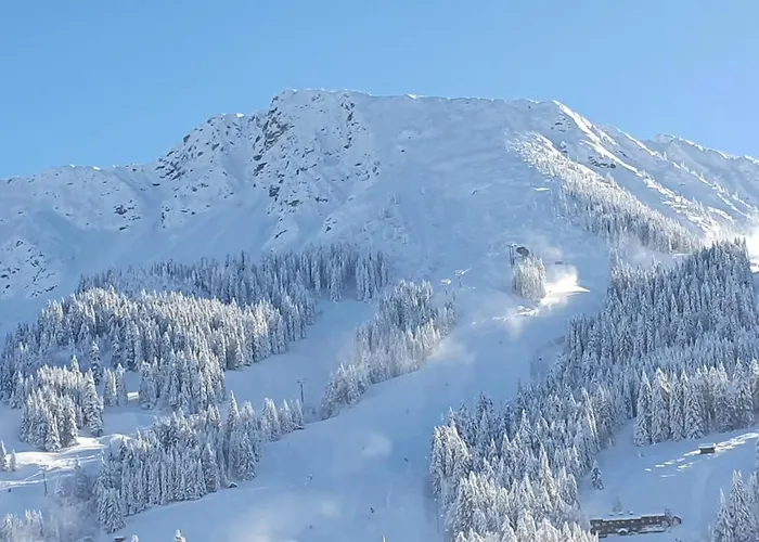 Hotel Alpengasthof Loewen